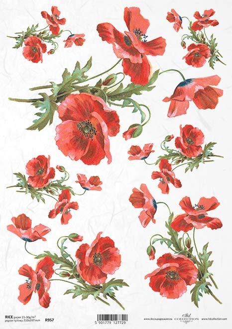 R0957 - Rice paper A4