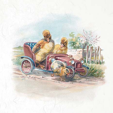 Illustration of three ducks in a vintage car with a garden background