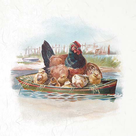 Illustration of a rooster with chicks in a boat on water