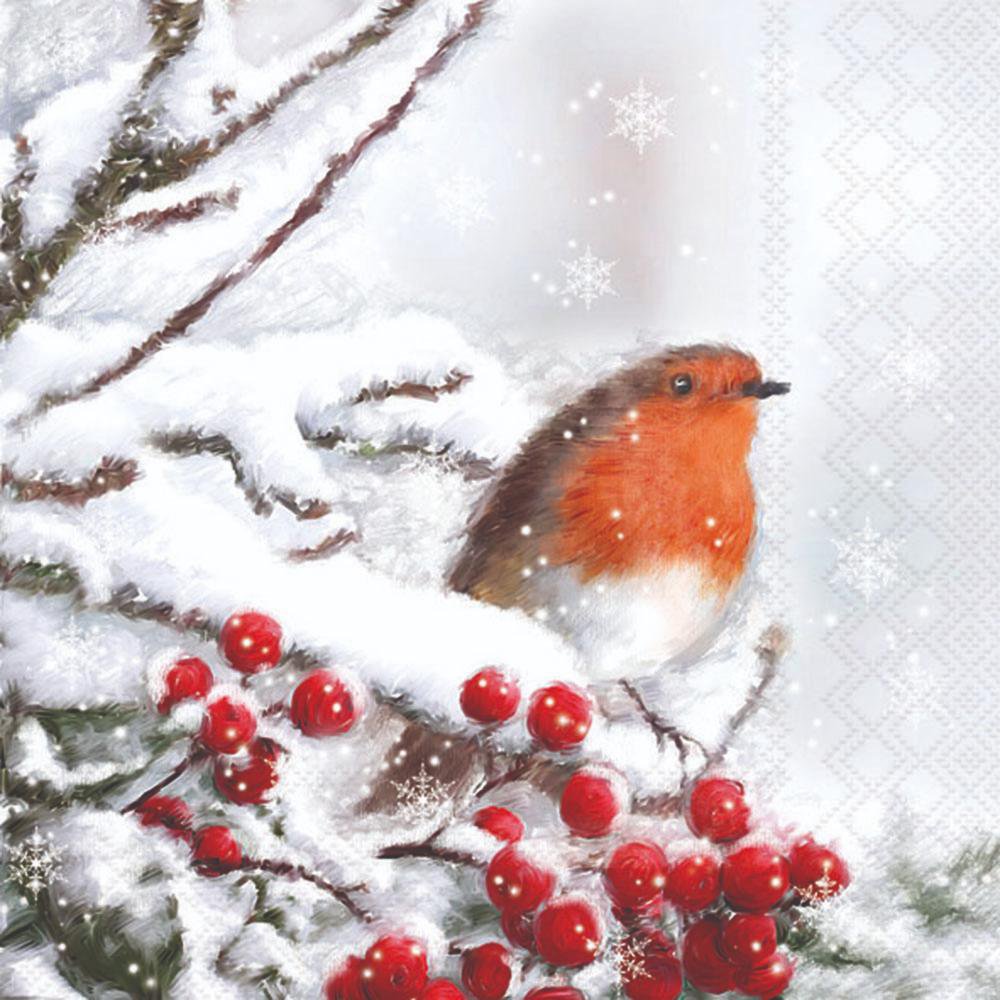 Red robin bird perched on snow-covered branches with red berries