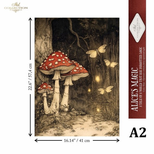 Illustration of mushrooms and butterflies in a forest with dimensions, 'Alice's Magic' collection