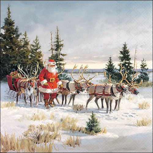 Santa with His Reindeers - Napkin