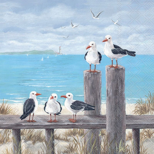Seagulls on the Dock - Napkin