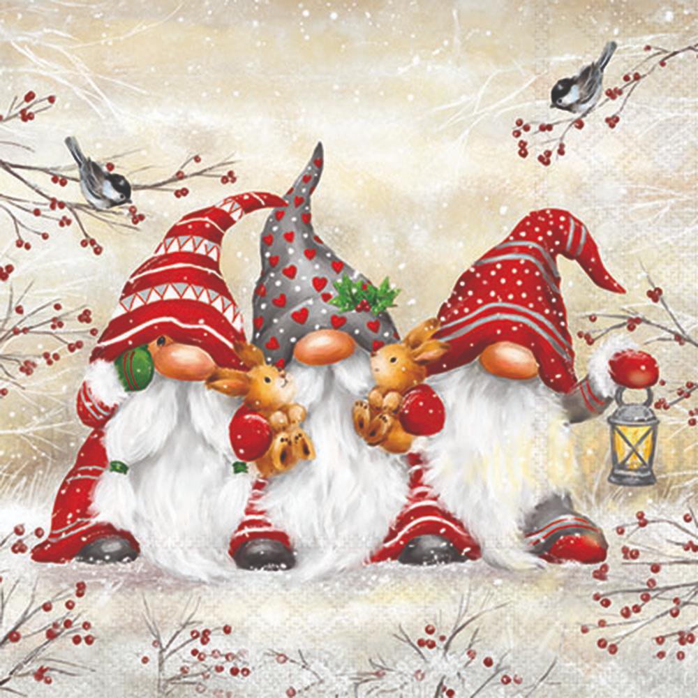 Three festive gnomes with red hats and winter decorations on a snowy background.