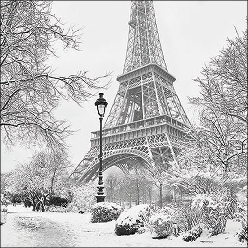 Winter in Paris - Napkin