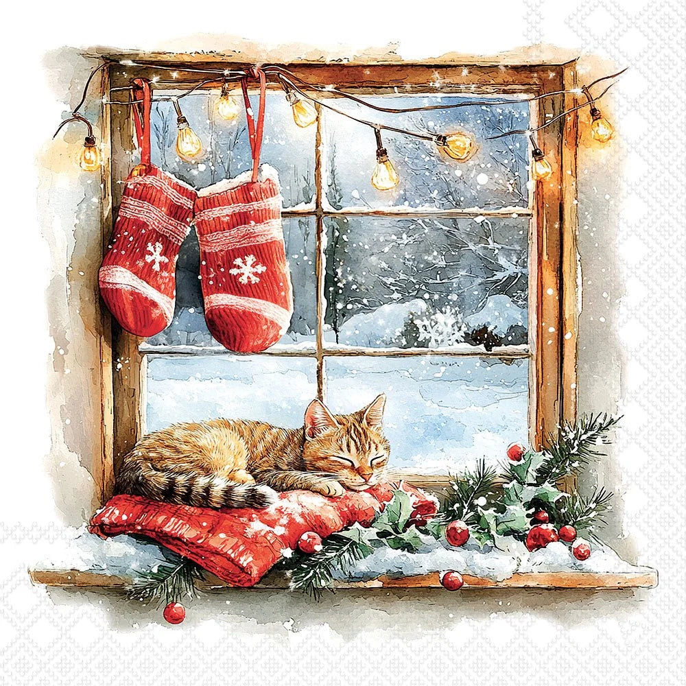 A festive watercolor-style illustration of a cozy winter window scene: a sleeping tabby cat rests on a red knit blanket on the windowsill, with red holiday stockings hanging by warm string lights, snow visible outside, and evergreen branches with red berries in the foreground.