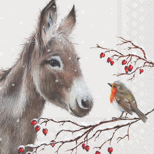 Donkey and robin on a branch with berries in a snowy scene