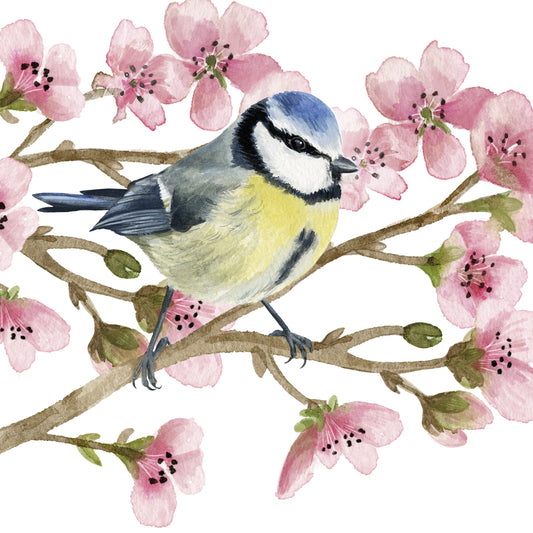 Spring Bird - Napkin