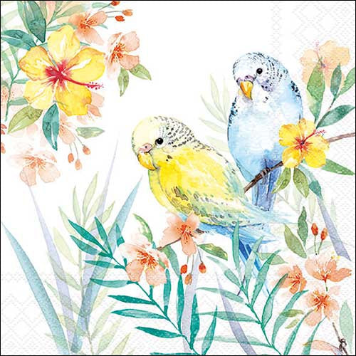 Budgies Couple - Napkin