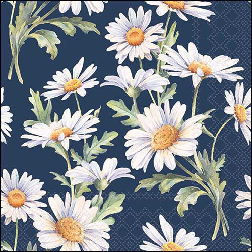 Beautiful Daisies Blue - Napkin