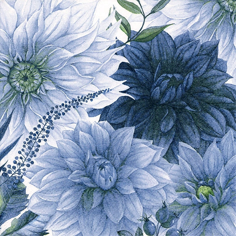Blue dahlias with green leaves