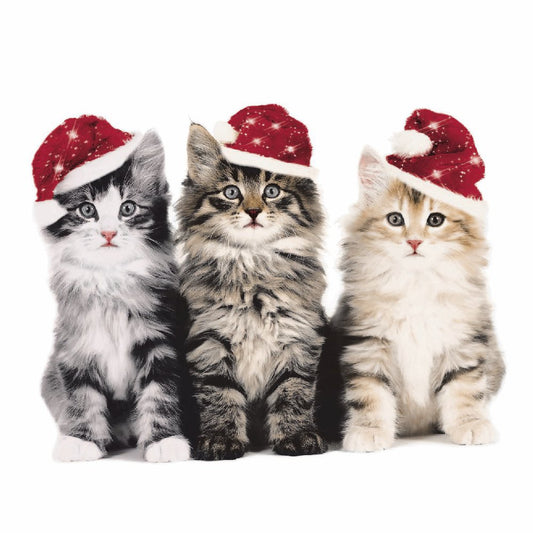 Xmas Cats - Napkin