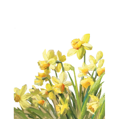 Golden Daffodils - Cocktail Napkin