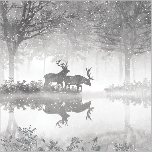 Two deer standing in a misty forest with their reflections visible in the water.