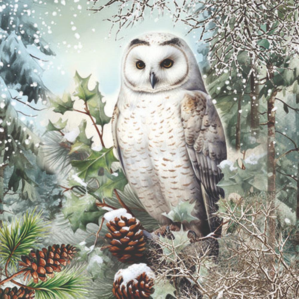 White owl in a snowy forest with pine cones and branches