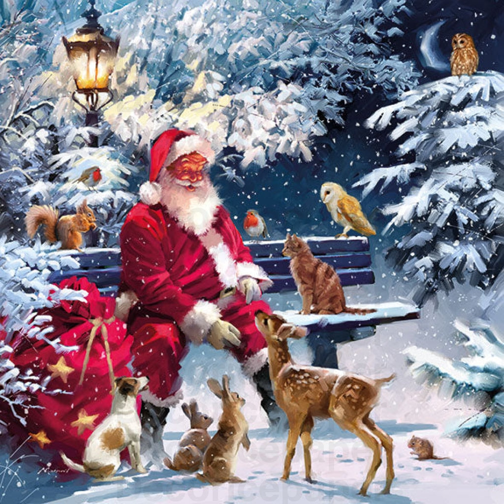 Santa On Bench Napkin